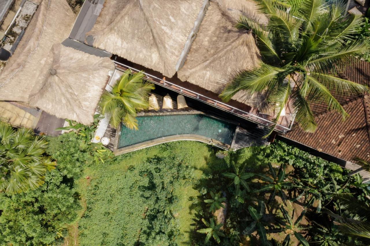 Hotel Basundari Retreat Ubud Extérieur photo