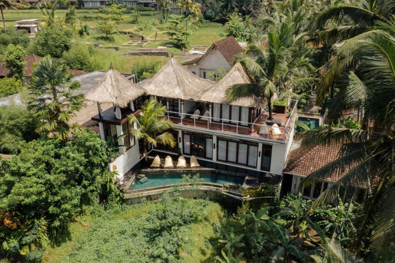 Hotel Basundari Retreat Ubud Extérieur photo