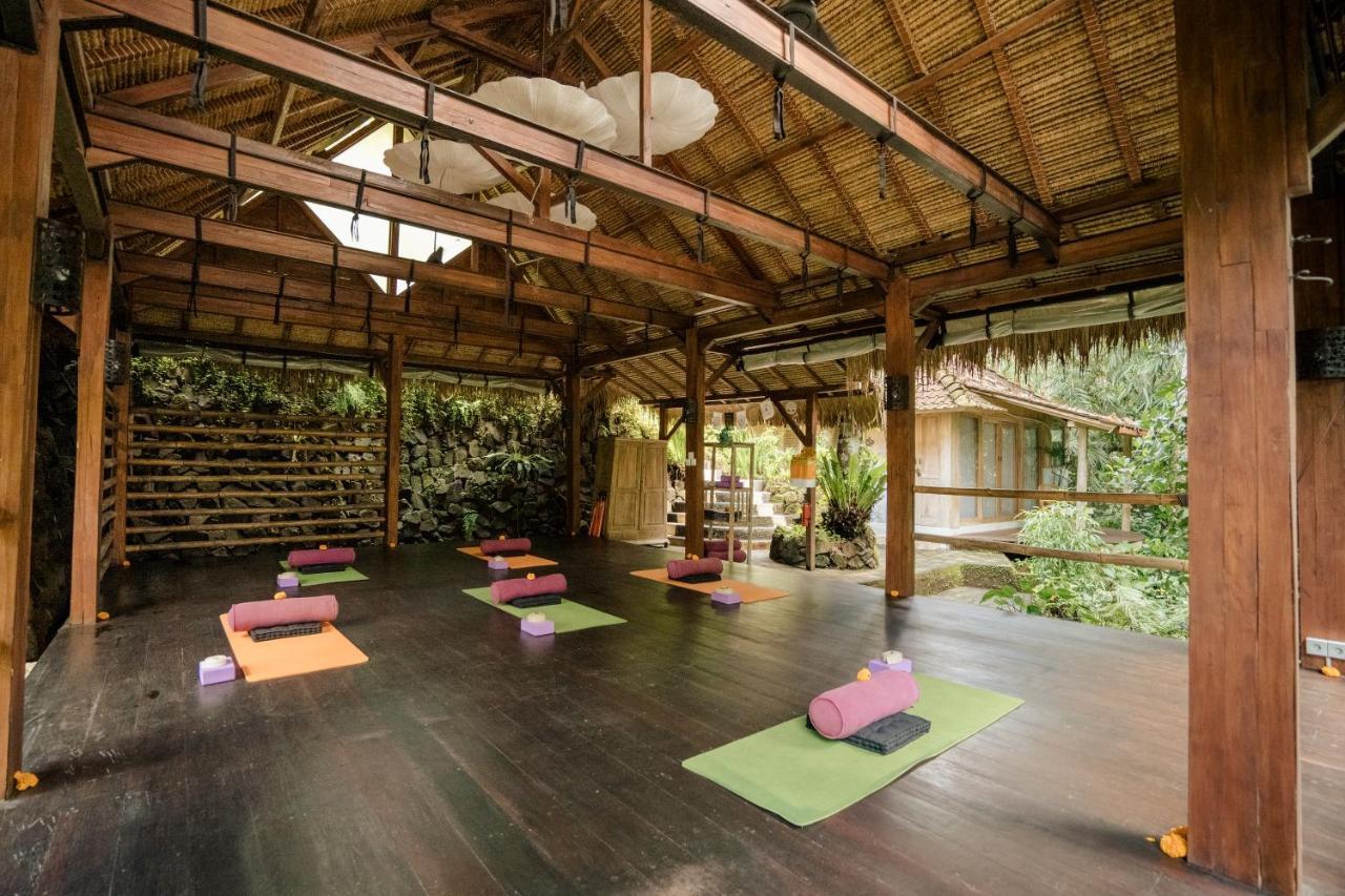 Hotel Basundari Retreat Ubud Extérieur photo